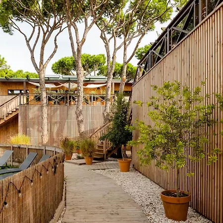 Apartahotel Nuevos Biopasivos Living Pura Madera Chiclana de la Frontera